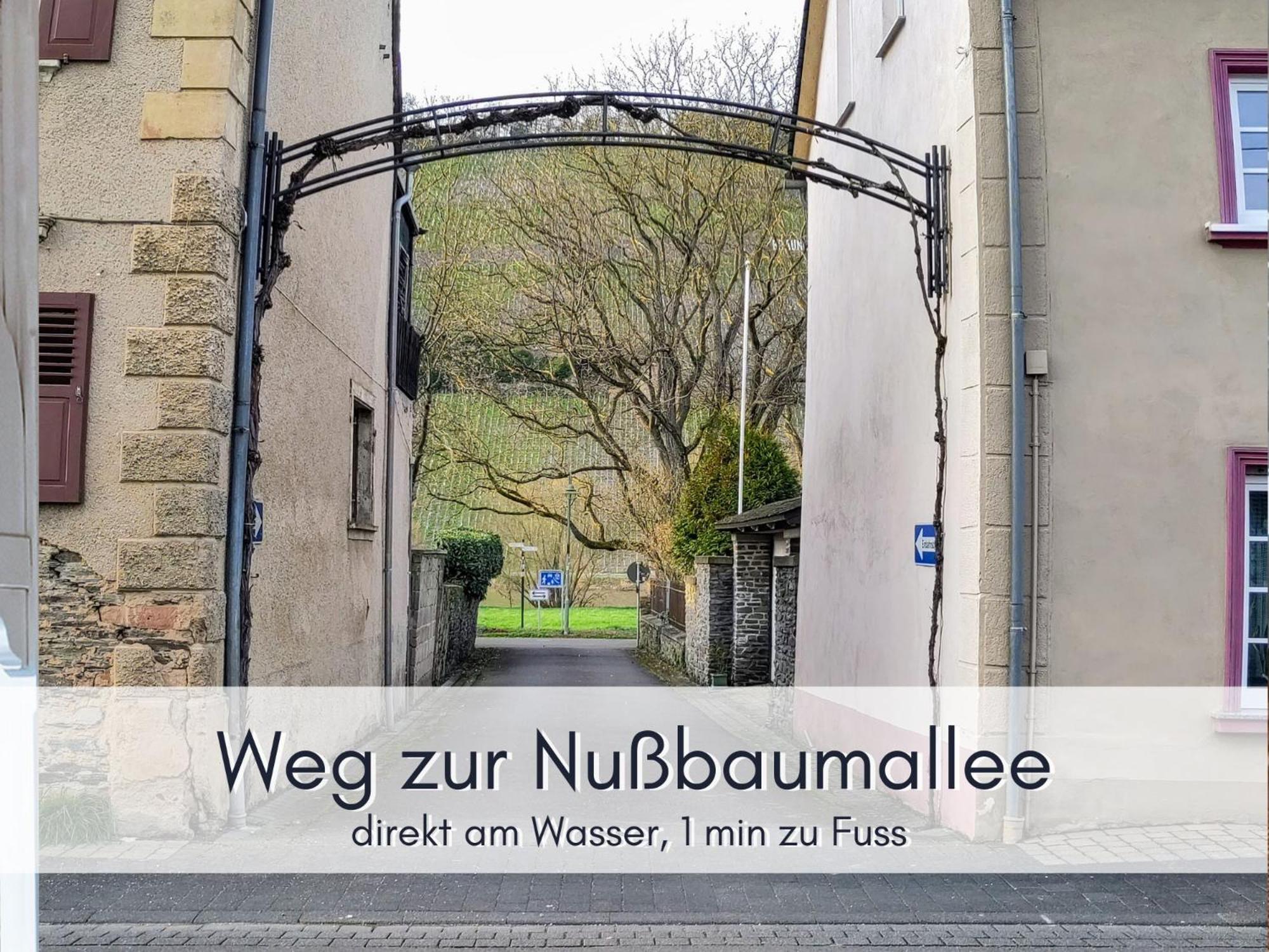 Komfort Fewo L Moselstay L Maximal 4 Personen Und Baby I Brauneberg Mosel I Wifi I Bagian luar foto