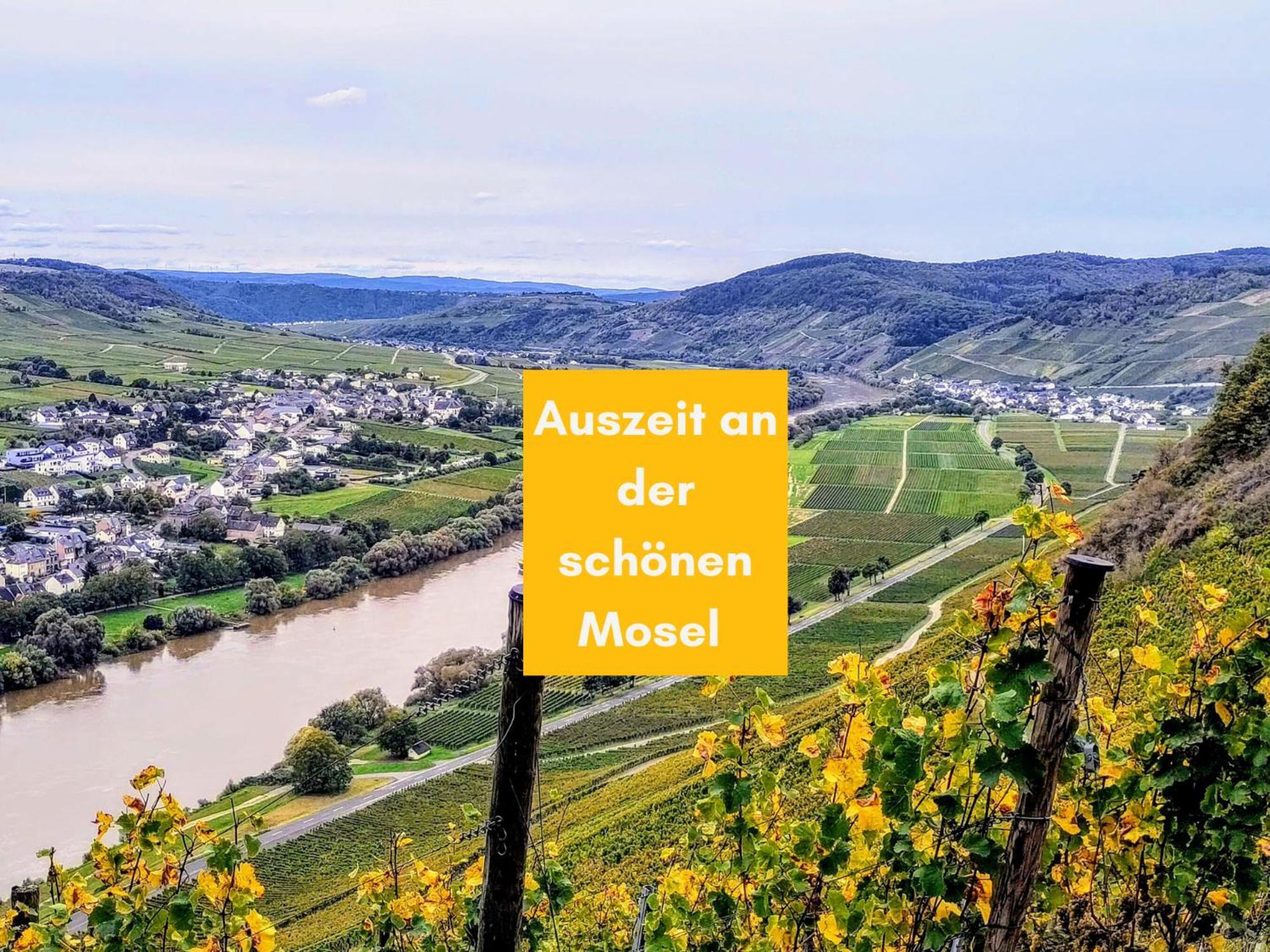 Komfort Fewo L Moselstay L Maximal 4 Personen Und Baby I Brauneberg Mosel I Wifi I Bagian luar foto