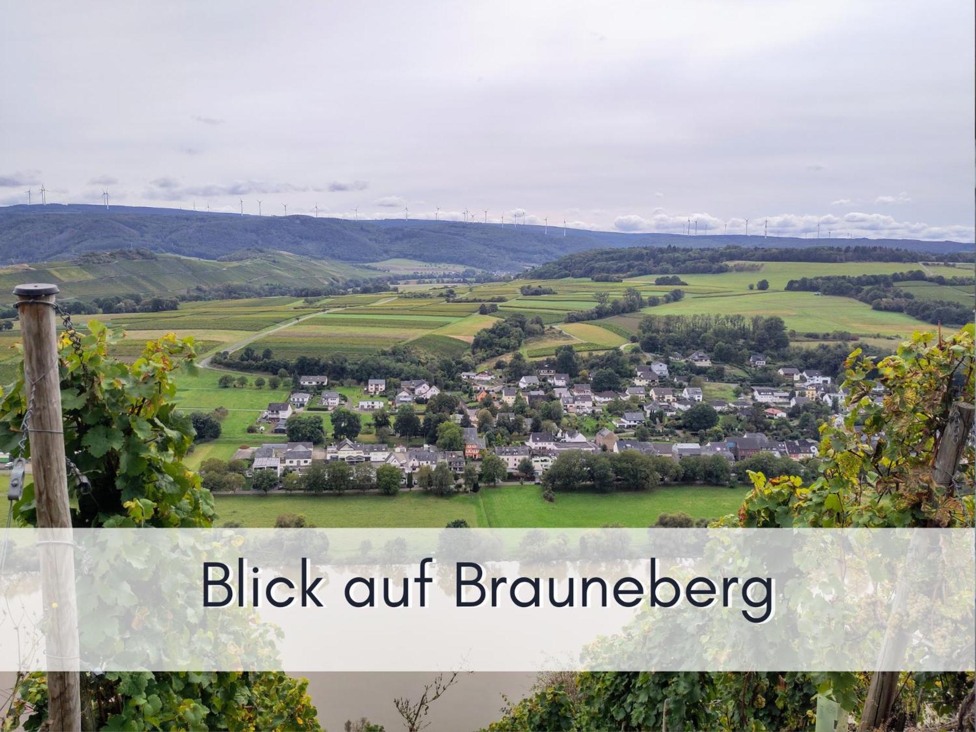 Komfort Fewo L Moselstay L Maximal 4 Personen Und Baby I Brauneberg Mosel I Wifi I Bagian luar foto