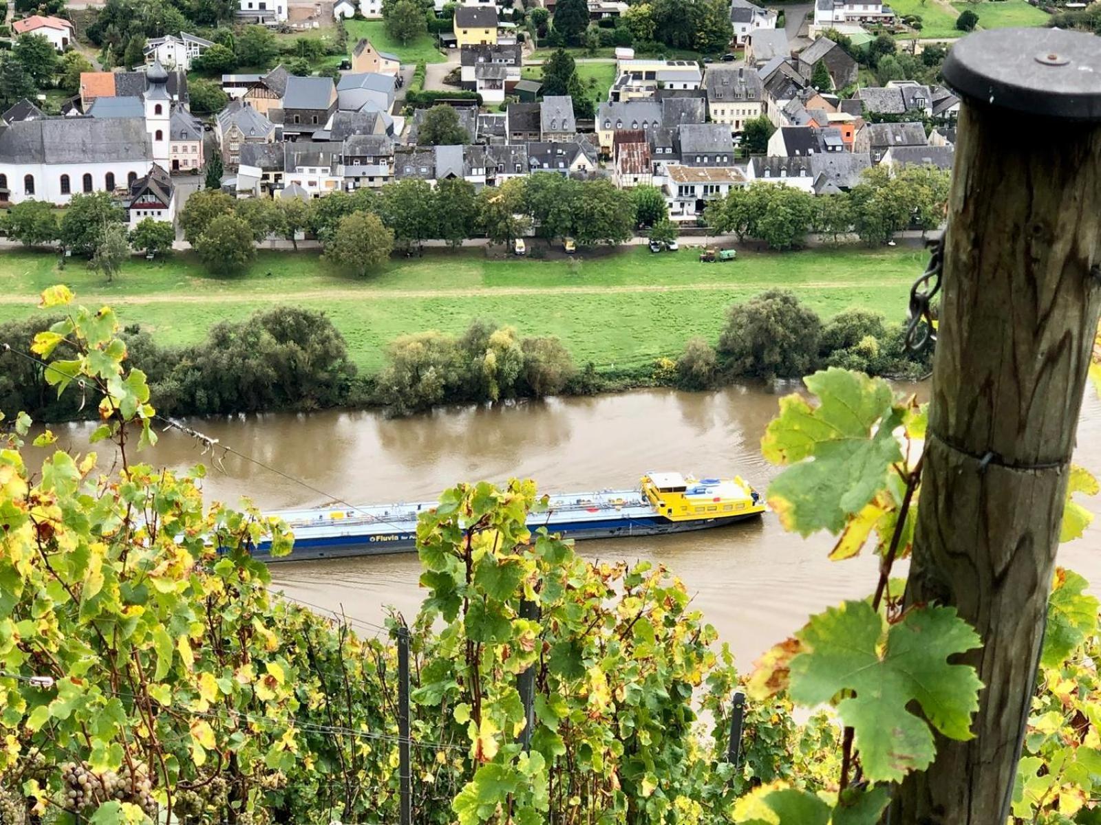 Komfort Fewo L Moselstay L Maximal 4 Personen Und Baby I Brauneberg Mosel I Wifi I Bagian luar foto